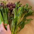 Freitagsblumen, DIY im Abo
