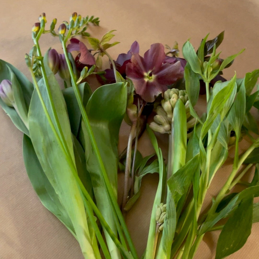 Freitagsblumen, DIY im Abo